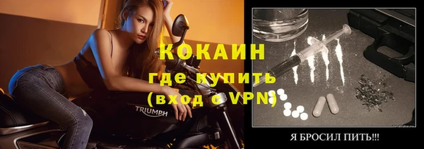 дживик Алексин