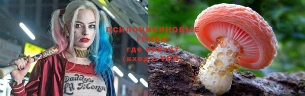 дживик Алексин