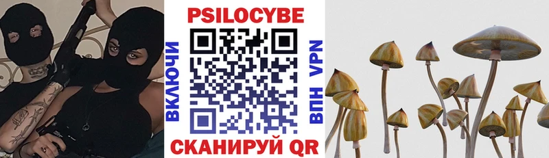 как найти наркотики  Пучеж  Галлюциногенные грибы Psilocybine cubensis 